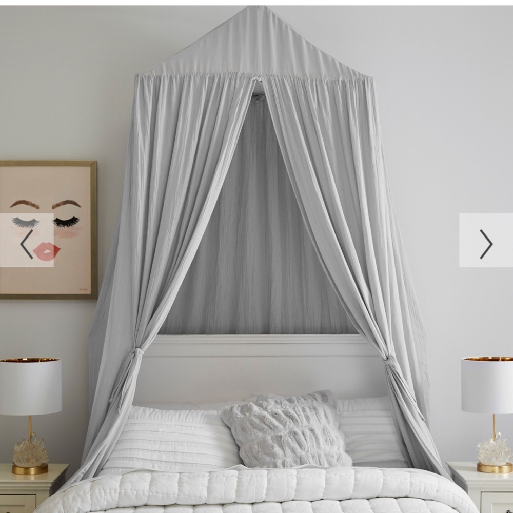 Pottery Barn Teen Fabric Canopy